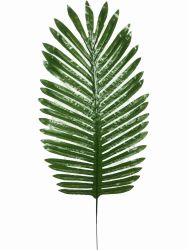 Hoja Palmera 57CM x 22CM Verde Claro