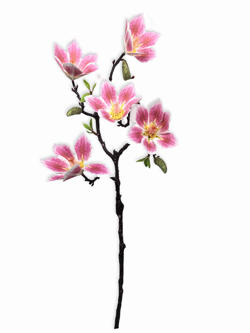 Flor largo Rosa