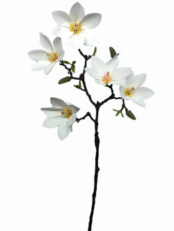 Flor largo Blanco