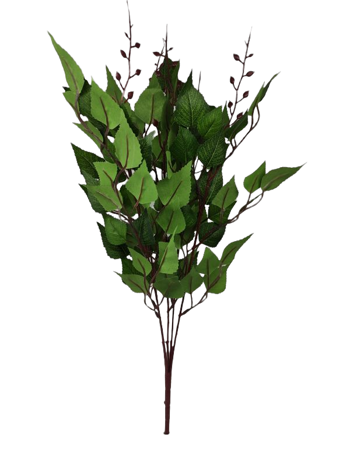 Rama hojas Color Verde