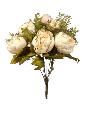 Ramo Grande Color Beige