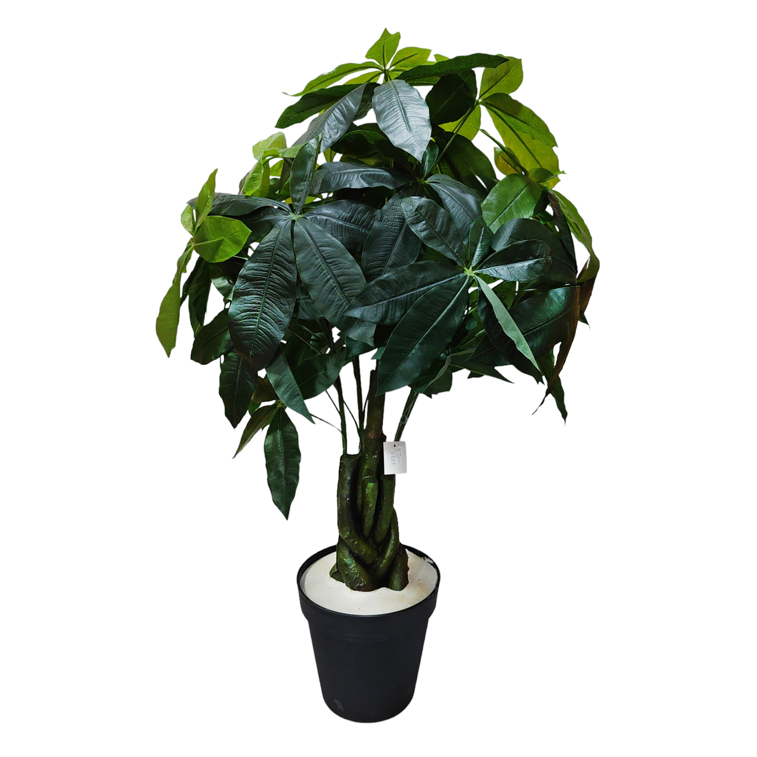 PLANTA HOJA DE PACHIRA 105CM