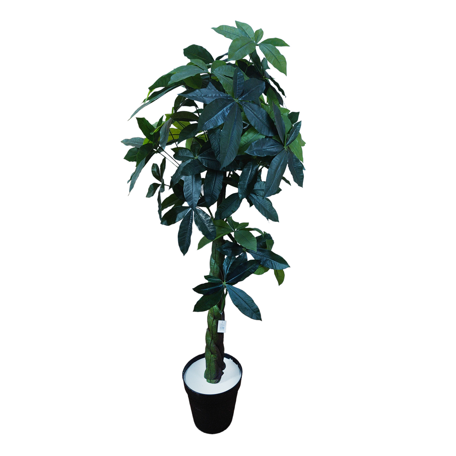PLANTA HOJA DE PACHIRA 160CM
