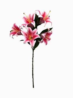 Rama Lirio Silicona Fucsia