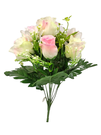 Ramo Santos Color Beige/Rosa