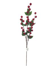 Rama de Acebo 70CM