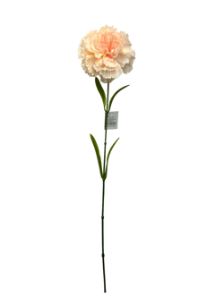 Flor larga 60CM CLAVEL Color Salmon