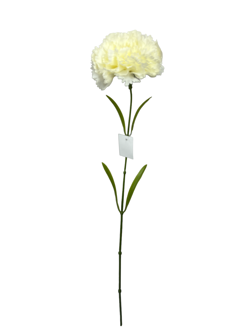 Flor larga 60CM CLAVEL Color Beige