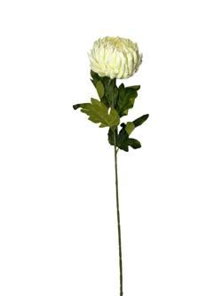 Flor largo Crisantemo 76CM Color Beige