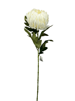 Flor largo Crisantemo 76CM Color Blanco