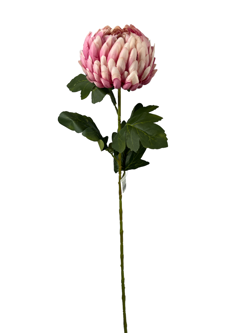 Flor largo Crisantemo 76CM Color Rosa