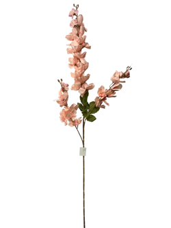 For larga 100CM JACINTO/HIACINTO Color Salmon