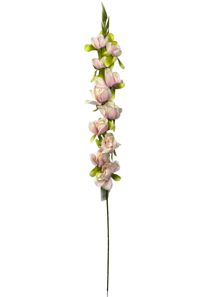 For larga 76CM JACINTO/HIACINTO Color Rosa