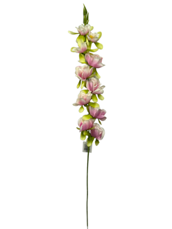 For larga 76CM JACINTO/HIACINTO Color Rosa/Blanco
