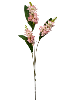 For larga 78CM JACINTO/HIACINTO Color Rosa