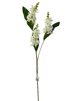 For larga 78CM JACINTO/HIACINTO Color Blanco