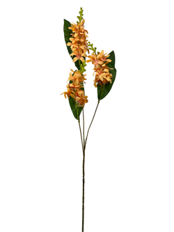 For larga 78CM JACINTO/HIACINTO Color Naranja