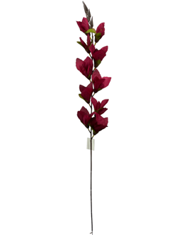Flor larga XXCM GLADIOLO Color Rojo