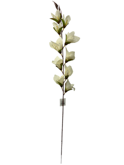 Flor larga XXCM GLADIOLO Color Blanco