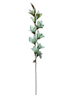 Flor larga XXCM GLADIOLO Color Azul