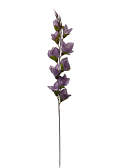 Flor larga XXCM GLADIOLO Color Lila