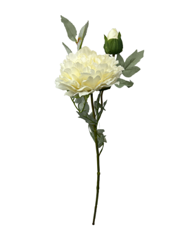 Flor larga 66CM PEONIA 2 Cabezas Color Blanco
