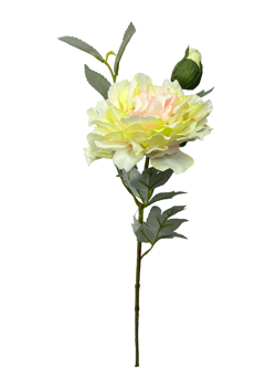 Flor larga 66CM PEONIA 2 Cabezas Color Beige