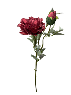 Flor larga 66CM PEONIA 2 Cabezas Color Lila
