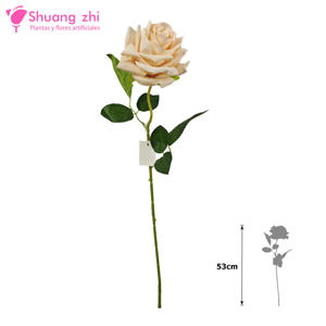 Flor Rosa 53CM Cabeza Terciopelo 53CM Color Champan