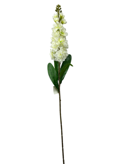 For larga 80CM JACINTO/HIACINTO Color Beige