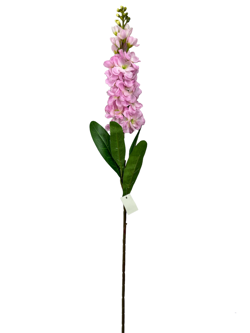 For larga 80CM JACINTO/HIACINTO Color Rosa