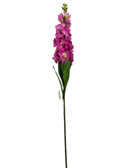 For larga 80CM JACINTO/HIACINTO Color Lila
