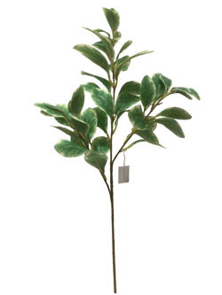 Rama Hojas 68CM Modelo Verde/blanco