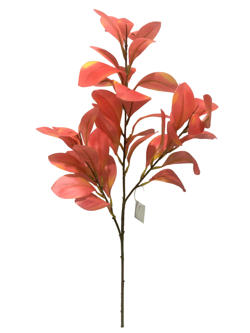 Rama Hojas 68CM Modelo Oto?o