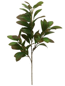 Rama Hojas 68CM Modelo Verde/Marró