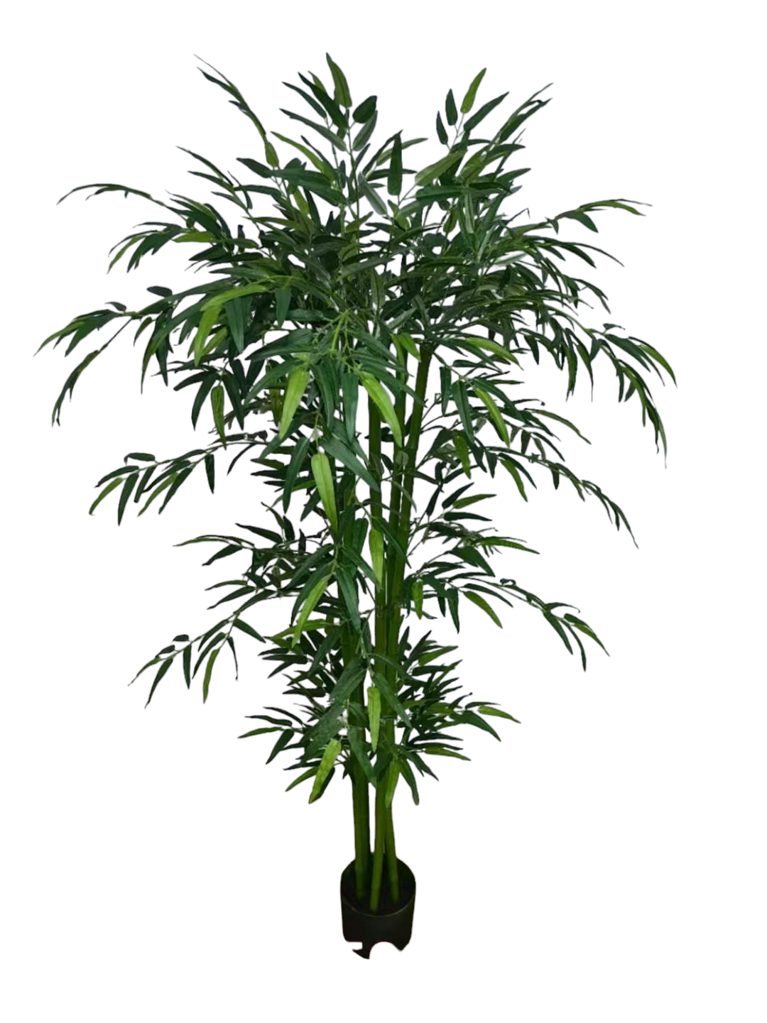 Planta Bambú 120CM