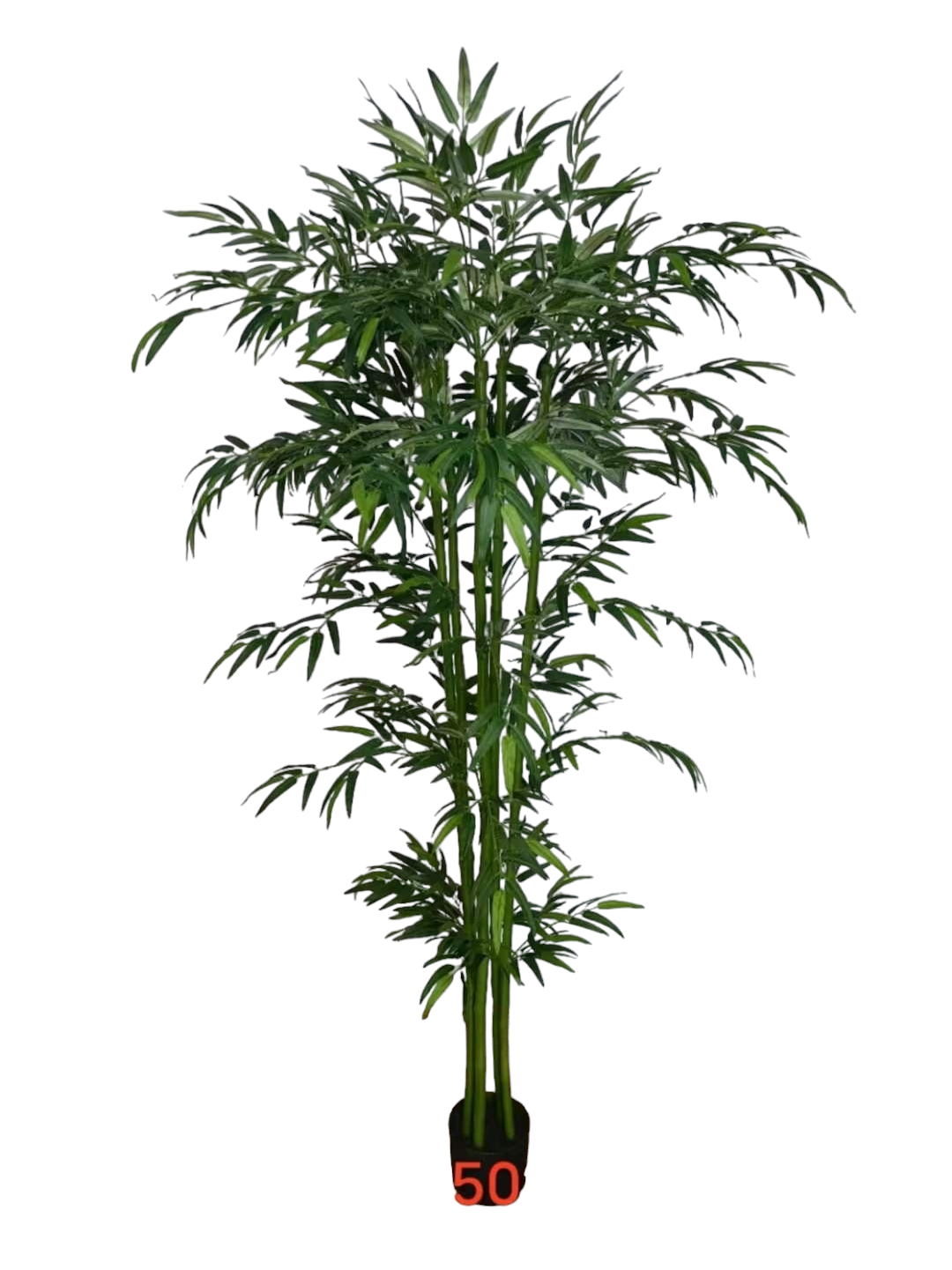 Planta Bambú 180CM