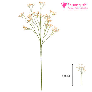 Varilla paniculata 62CM Champan