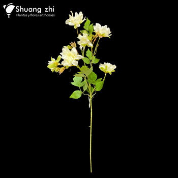 Flor Largo Peonia 75CM Color Beige
