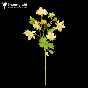 Flor Largo Peonia 75CM Color Champan