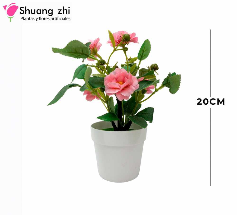 Maceta Mini 20CM Color Rosa