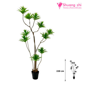 Planta Dracena Hoja Calidad 220CM
