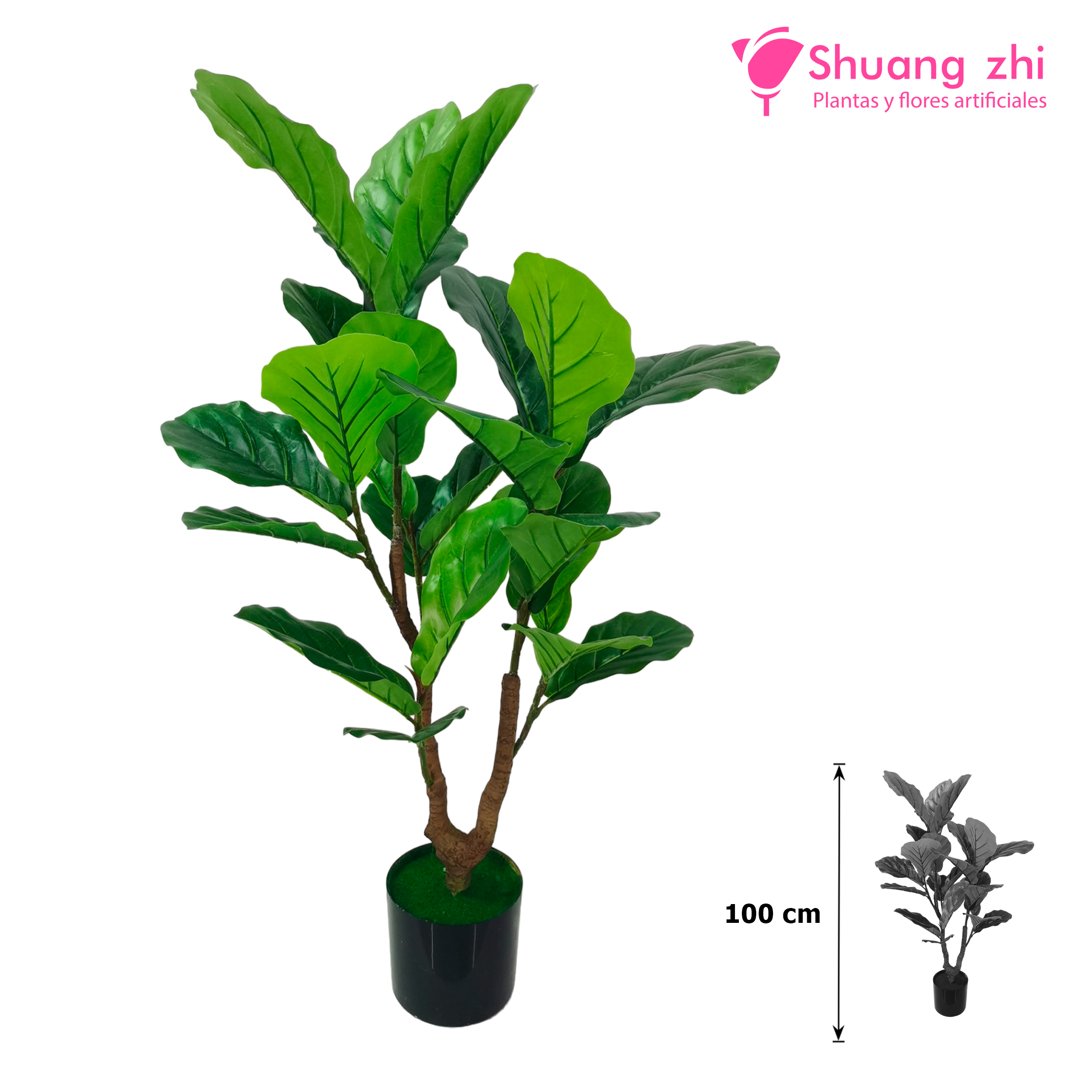 Planta Ficus Lyrata Hoja Calidad 100CM Ref: 752