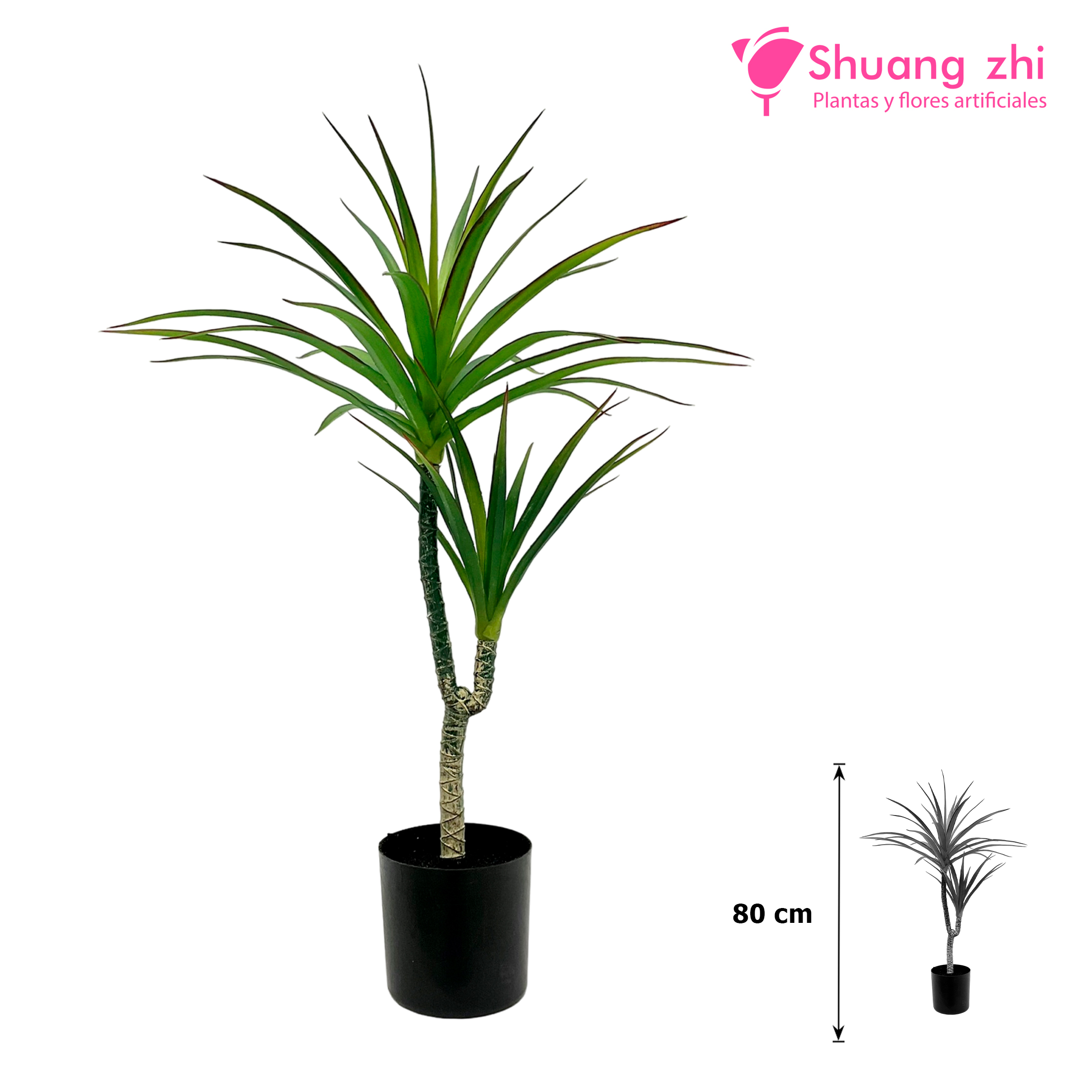 Planta Dracena Hoja Calidad 80CM Ref: 769