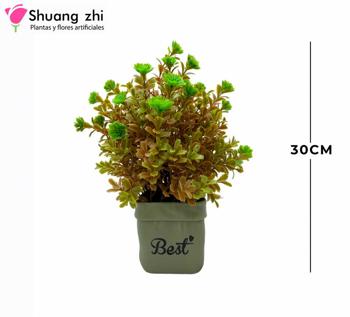 Maceta Mini 27CM Color Verde