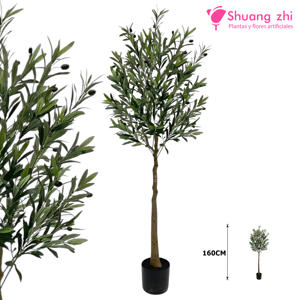 Planta de Olivo 160CM