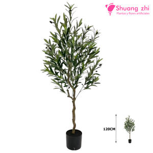 Planta de Olivo 120CM