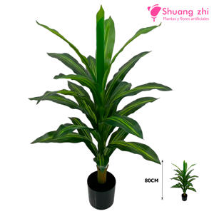 Planta Verde Dracena 80CM Modelo B