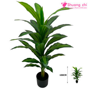 Planta Verde Dracena 100CM Modelo B