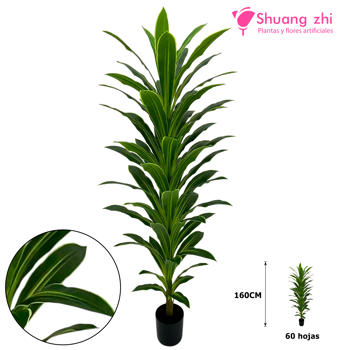 Planta Hoja Dracena 160CM 60 Hojas